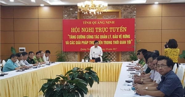 Quảng Ninh: Hội nghị trực tuyến tăng cường công tác quản lý bảo vệ rừng