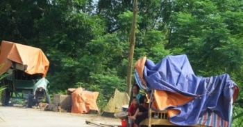 Thanh Hóa: Nhiều người dân vẫn sống cảnh “màn trời chiếu đất” sau lũ