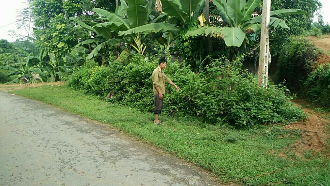 Địa điểm nơi xảy ra x&ocirc; x&aacute;t v&agrave; mắt &ocirc;ng Thụ c&oacute; nguy cơ bị hỏng do H&ugrave;ng đ&aacute;nh.