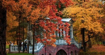 Mùa thu đẹp như tranh vẽ ở Saint Petersburg