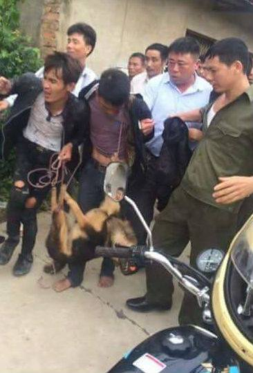 B v&agrave; T bị người&nbsp;d&acirc;n bắt quả tang trộm ch&oacute;.