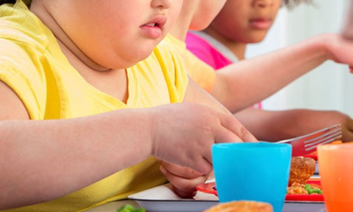 Ăn qu&aacute; nhiều thức ăn nhanh, cộng th&ecirc;m lối sống tĩnh tại, &iacute;t vận động khiến nhiều trẻ bị b&eacute;o ph&igrave;. Ảnh:&nbsp;S.N.