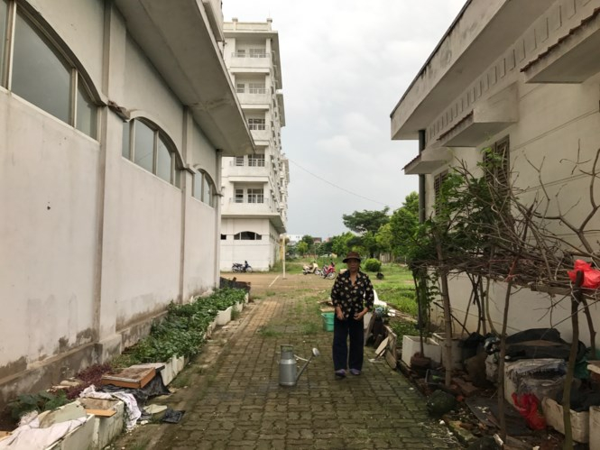 Một số hộ d&acirc;n liền kề dự &aacute;n tiếc cho đất bỏ hoang đ&atilde; tranh thủ trồng rau