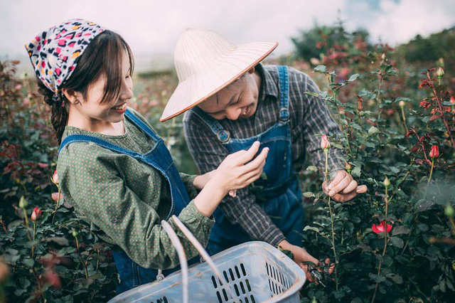 Kể từ ấy như c&oacute; một điều g&igrave; đ&oacute; th&ocirc;i th&uacute;c mối quan hệ của họ cởi mở hơn. C&ocirc; g&aacute;i Phương Dung cũng kh&ocirc;ng tỏ ra xa c&aacute;ch với anh ch&agrave;ng trồng &ldquo;c&acirc;y si&rdquo; Quốc Phong nữa.