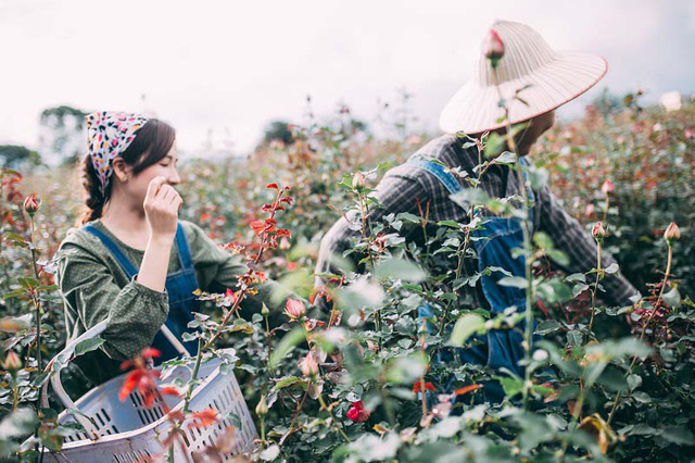 Cho đến thời điểm hiện tại, khi đ&atilde; b&ecirc;n nhau được 365 ng&agrave;y nhưng cặp đ&ocirc;i n&agrave;y chưa từng giận nhau d&ugrave; chỉ một gi&acirc;y. Họ hợp nhau như một cặp b&agrave;i tr&ugrave;ng.