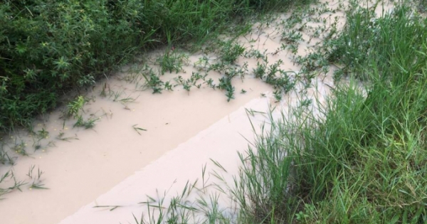 Công ty TNHH Thạch Bàn bị phạt 105 triệu đồng vì liên quan đến môi trường