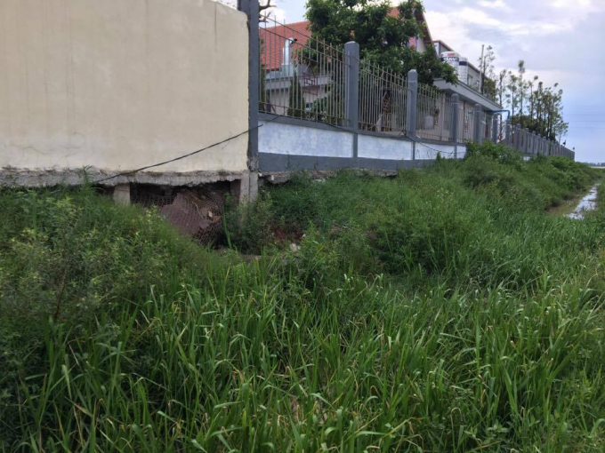 Nh&agrave; m&aacute;y sản xuất cạnh ruộng l&uacute;a.