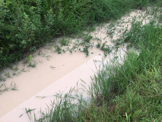 Thường xuy&ecirc;n xả thải ra mương tho&aacute;t nước.