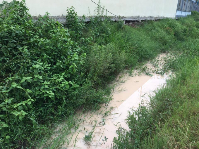 Mương tho&aacute;t nước, tưới ti&ecirc;u của nh&acirc;n d&acirc;n.