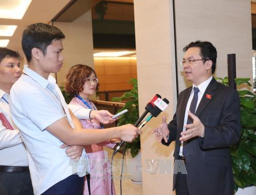 Đại biểu Quốc hội trả lời phỏng vấn c&aacute;c cơ quan b&aacute;o ch&iacute; trong giờ nghỉ giải lao. Ảnh: Trọng Đức - TTXVN