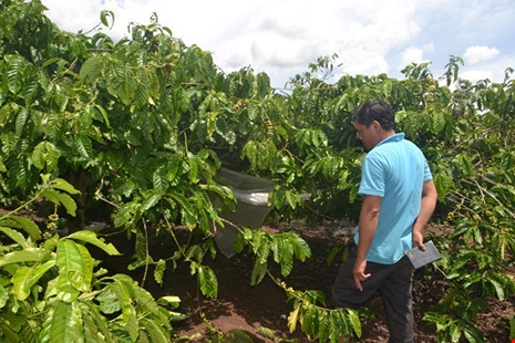 Đắk Lắk: “Yêu râu xanh” bị anh trai nạn nhân chém khi đang “hành sự”