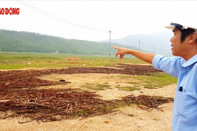 &Ocirc;ng Nguyễn Th&agrave;nh Vinh - Ph&oacute; Ph&ograve;ng kỹ thuật an to&agrave;n; phụ tr&aacute;ch giải ph&oacute;ng mặt bằng thuộc Dự án Trung t&acirc;m nhi&ecirc;̣t đi&ecirc;̣n Quảng Trạch - tại khu vực triển khai dự &aacute;n. Ảnh: L&ecirc; Phi Long