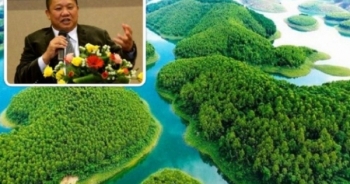 Dự án nghỉ dưỡng nghìn tỷ của đại gia Lê Phước Vũ phải ngừng triển khai