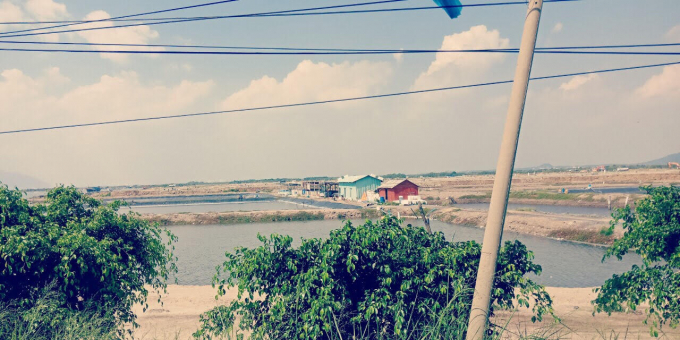 Thực tế phần đất hai ch&ograve;i tạm bị cưỡng chế tr&aacute;i luật nằm trong khu&ocirc;n vi&ecirc;n giai đoạn 3 của Dự &aacute;n Marine City