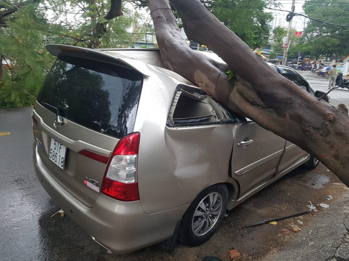 Chiếc &ocirc; t&ocirc; Innova bị c&acirc;y xanh đ&egrave; bẹp d&uacute;m.