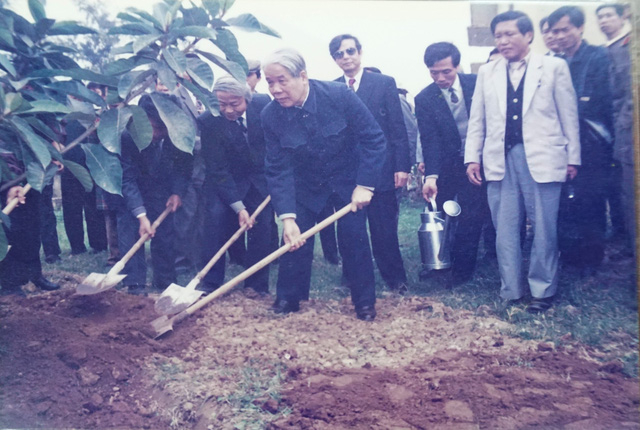 Nguy&ecirc;n Tổng B&iacute; thư Đỗ Mười trồng c&acirc;y đa lưu niệm trong khu&ocirc;n vi&ecirc;n của UBND x&atilde; Đ&ocirc;ng Mỹ v&agrave;o năm 1996.