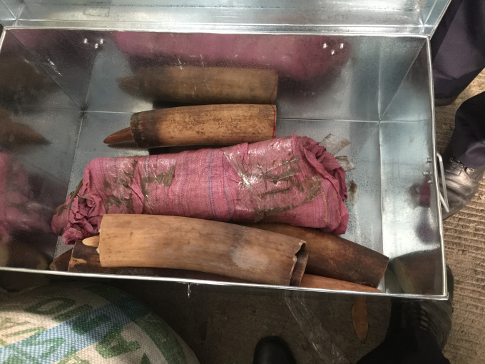 Hải quan Đ&agrave; Nẵng bắt giữ l&ocirc; h&agrave;ng