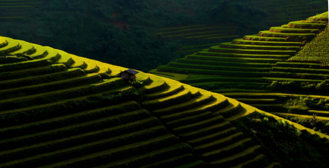 Chi&ecirc;m ngưỡng những ruộng bậc thang với nhiều m&agrave;u sắc