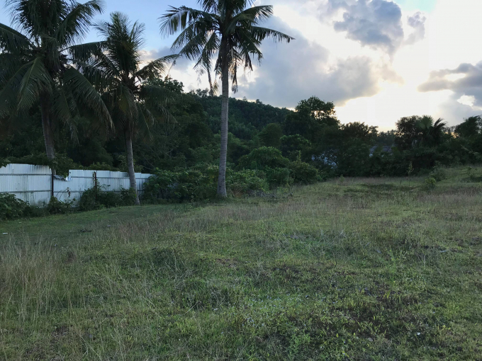 H&agrave;ng chục ha đất bị bỏ hoang khi