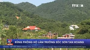 Rừng phòng hộ Lâm trường Sóc Sơn tan hoang
