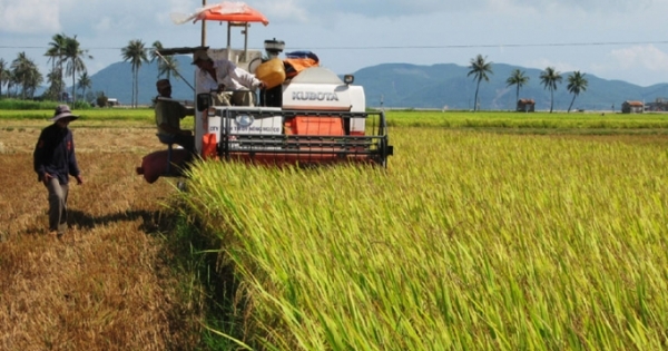 Ký hợp đồng cho máy gặt - Khi những cánh đồng không còn bình yên