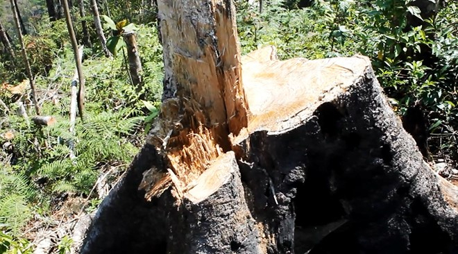 Ảnh minh họa. (Ảnh: B&aacute;o Lao động).