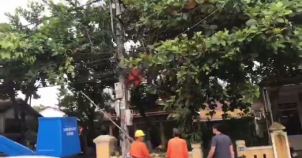 Huế: Một công nhân điện lực nghi bị điện giật chết trong khi đang xử lý điện