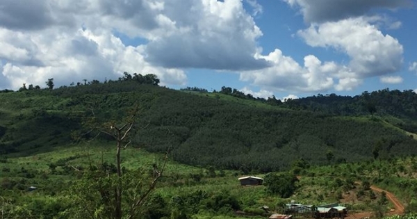 Hành trình truy bắt thủ phạm vụ "giang hồ thanh toán" gây xôn xao dư luận