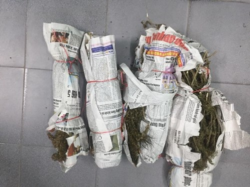 Số lượng cần sa được cơ quan c&ocirc;ng an bắt giữ. Ảnh cơ quan c&ocirc;ng an cung cấp.