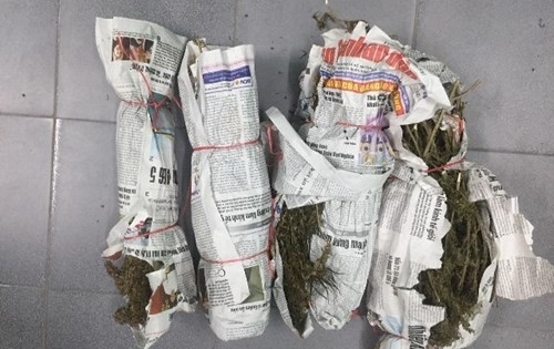 Bắt giữ đối tượng vận chuyển số lượng lớn cần sa được nguy trang trong thùng hoa quả