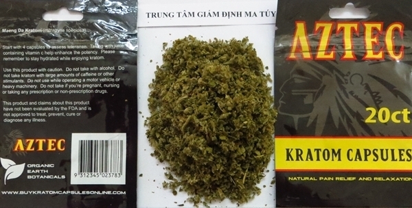 Phát hiện nhiều chất ma túy mới gây ảo giác mạnh