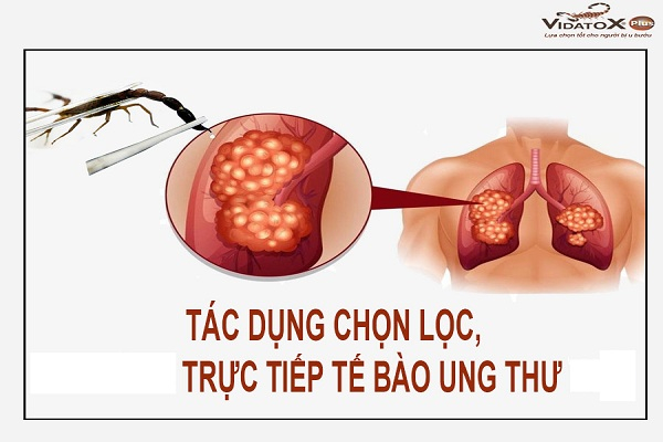 Nọc bọ cạp xanh Cuba t&aacute;c dụng trực tiếp v&agrave;o tế b&agrave;o ung thư.