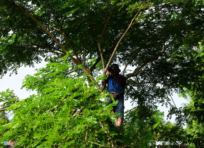 Với nhiều nhiếp ảnh gia từ mọi miền Tổ quốc, lễ hội n&agrave;y l&agrave; một trong những dịp s&aacute;ng t&aacute;c c&aacute;c bức h&igrave;nh đẹp m&agrave; họ ưa th&iacute;ch.