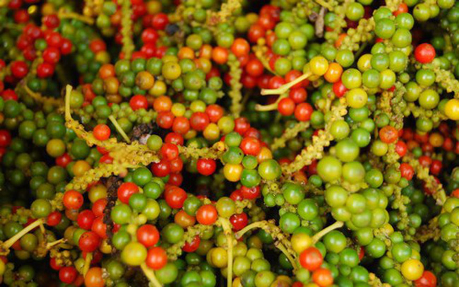 Nhu cầu xuất khẩu tiếp tục k&eacute;o gi&aacute; ti&ecirc;u tăng