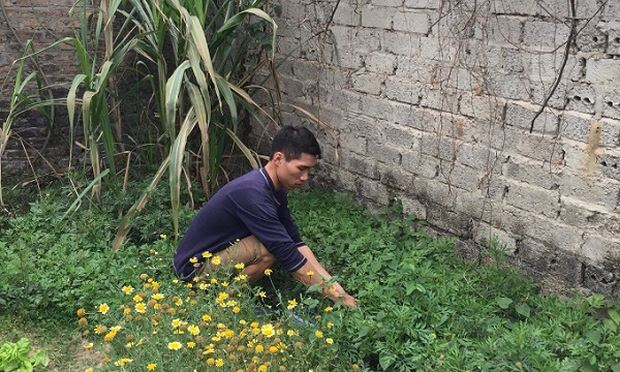 Đ&ocirc;ng Anh, H&agrave; Nội: V&agrave;o t&ugrave; v&igrave; tranh chấp đất ruộng