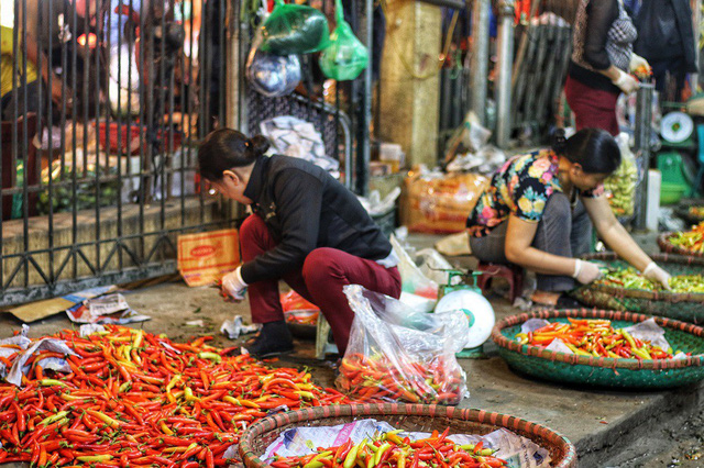 Chợ đầu mối Long Bi&ecirc;n l&agrave; nơi tập chung rất nhiều lao động nữ, Trong đ&oacute; đa số đều l&agrave; d&acirc;n tỉnh lẻ, v&igrave; ngh&egrave;o đ&oacute;i m&agrave; t&igrave;m về đ&acirc;y để kiếm sống. Những người phụ nữ ở đ&acirc;y đều c&oacute; những điểm chung như: Phải xa qu&ecirc; tha hương cầu thực; gia cảnh kh&oacute; khăn v&agrave; lao động chủ yếu về đ&ecirc;m.