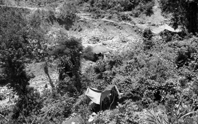 Lều l&aacute;n của &ldquo;v&agrave;ng tặc&rdquo; ở miền T&acirc;y, Quảng.