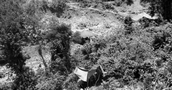 Cuộc chiến giữa các đại ca tranh giành lãnh địa “vàng tặc"