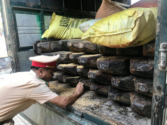 Khối lượng lớn gỗ kh&ocirc;ng c&oacute; nguồn gốc xuất xứ.