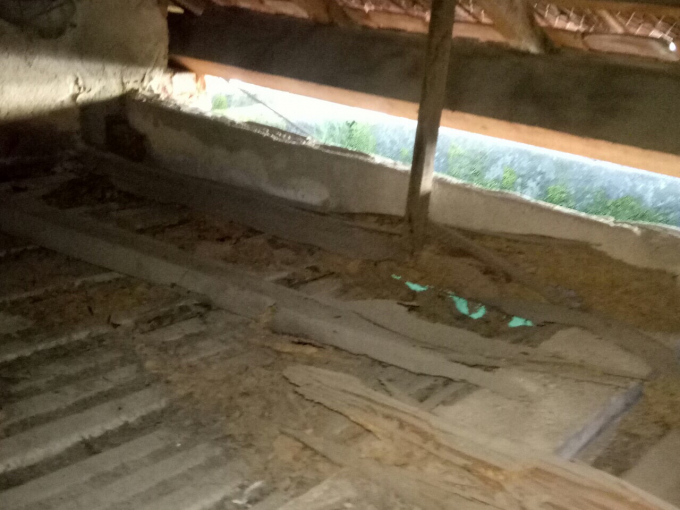 Huế: Thầy tr&ograve; trường TH L&yacute; Thường Kiệt bất an v&igrave; trường xuống cấp nghi&ecirc;m trọng