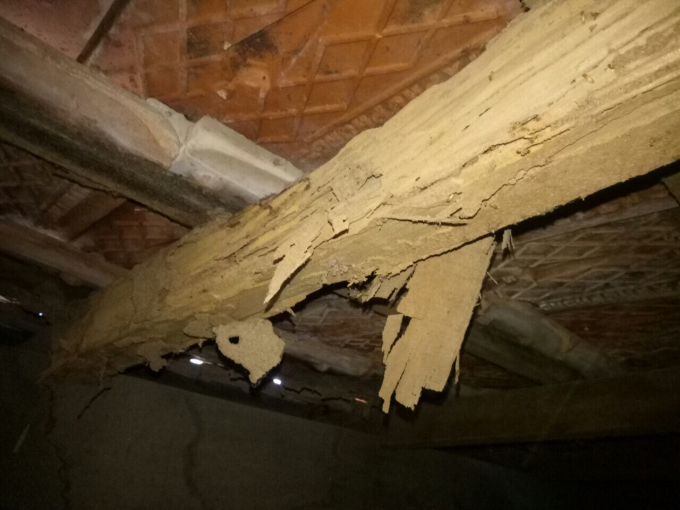 Mối đ&atilde; ăn hầu như gần hết c&aacute;c đ&ograve;n tay.