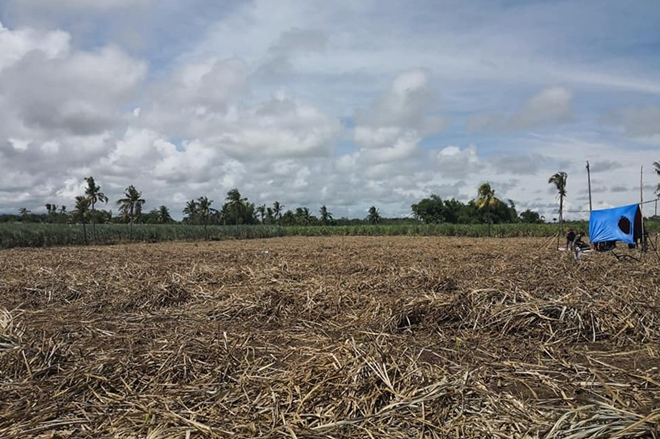 Hiện trưởng vụ thảm s&aacute;t n&ocirc;ng trường trồng m&iacute;a&nbsp;ở th&agrave;nh phố Sagay.&nbsp;Ảnh: ABS-CBN