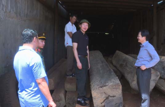 Cơ quan chức năng ph&aacute;t hiện số lượng gỗ kh&ocirc;ng r&otilde; nguồn gốc.