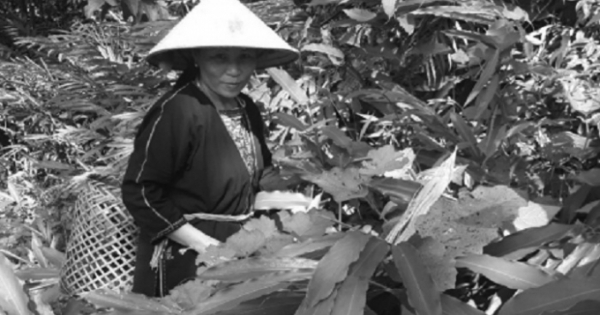 Nỗi lòng quý ông chẳng dám đi đâu xa vì “trót” mắc tiểu nhiều