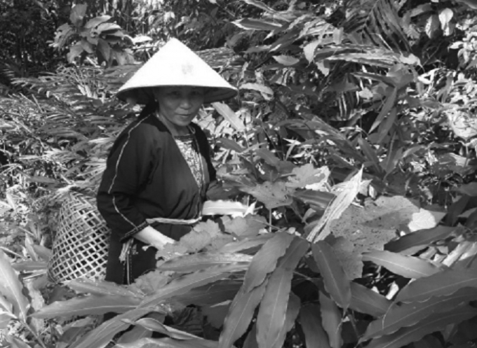 Nữ lương y người Dao sở hữu đặc trị bệnh vi&ecirc;m đường tiết niệu nổi tiến.