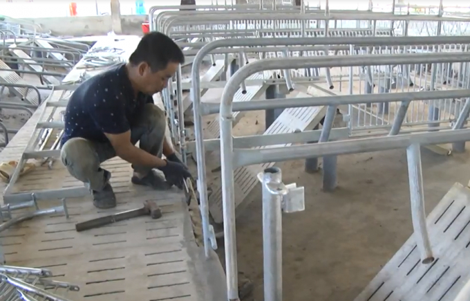 C&ocirc;ng nh&acirc;n tiến h&agrave;nh th&aacute;o dỡ c&aacute;c lồng chuồng b&ecirc;n trong khu nh&agrave; nu&ocirc;i heo