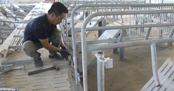 Đồng Nai: Tháo dỡ trại heo “khủng” xây dựng trái phép bên hồ Trị An