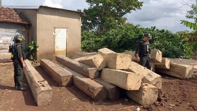 Lưc lượng chức năng kiểm đếm gỗ kh&ocirc;ng nguồn gốc của tr&ugrave;m Nguyễn Quang Tiệp.