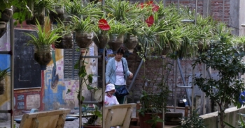 Những vườn treo nhỏ xinh, mát mắt dọc ngõ phố Hà Nội