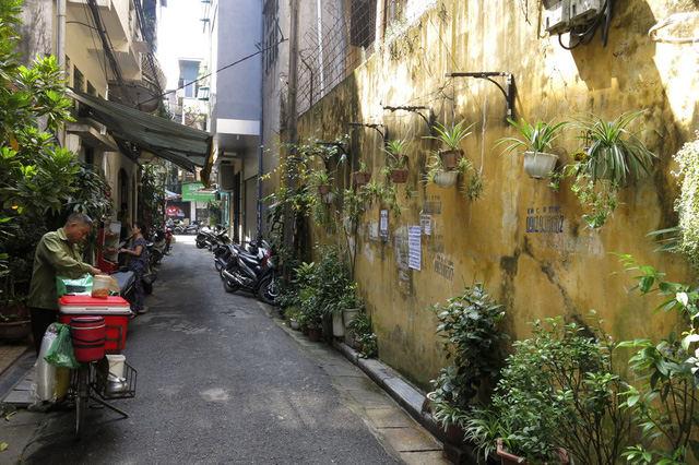 Tại phố Cổng Đục (quận Ho&agrave;n Kiếm), khu vực được coi l&agrave; khu trung t&acirc;m của H&agrave; Nội, một mảng tường lớn k&eacute;o d&agrave;i h&agrave;ng chục m&eacute;t h&igrave;nh th&agrave;nh một vườn treo với rất nhiều chậu hoa, c&acirc;y cảnh đủ loại.